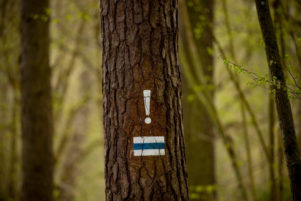In hiking, a painted exclamation mark on a tree means unexpected change of direction ahead.